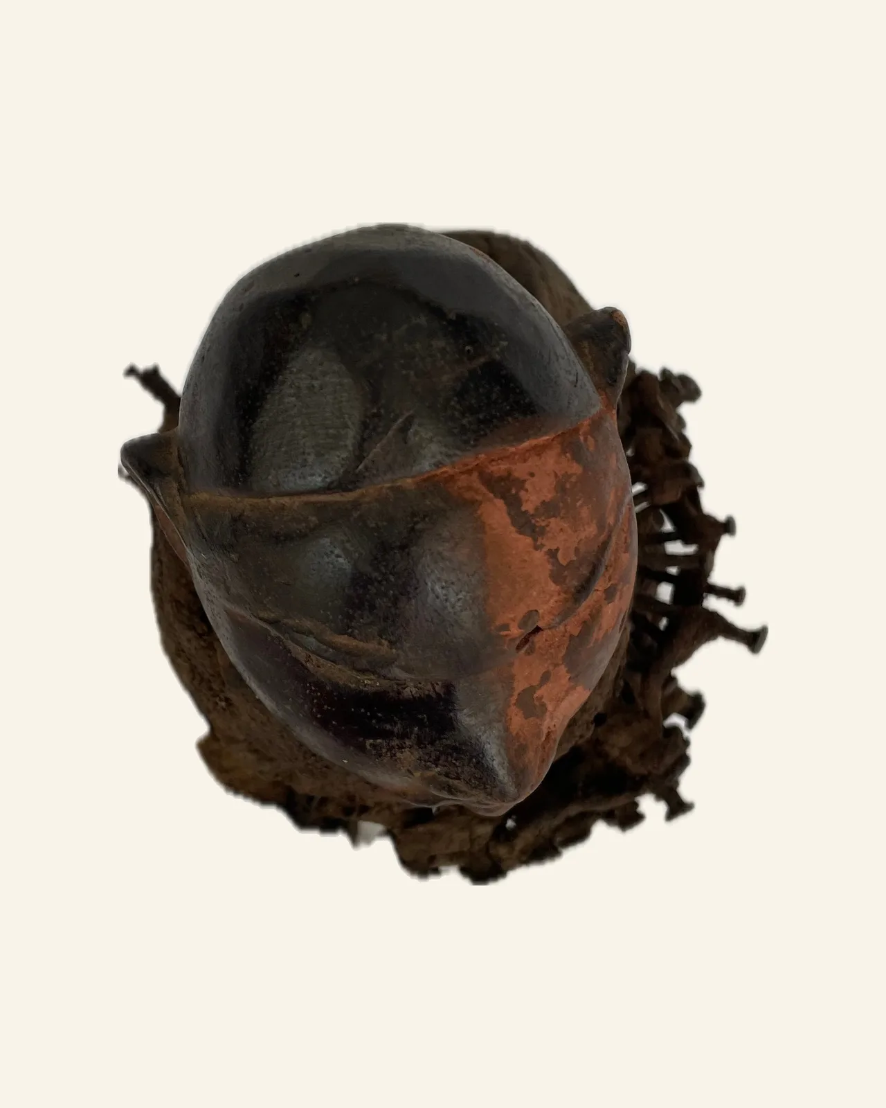 Nkisi Nduda, Kongo (Yombe / Vili Style), seen from above