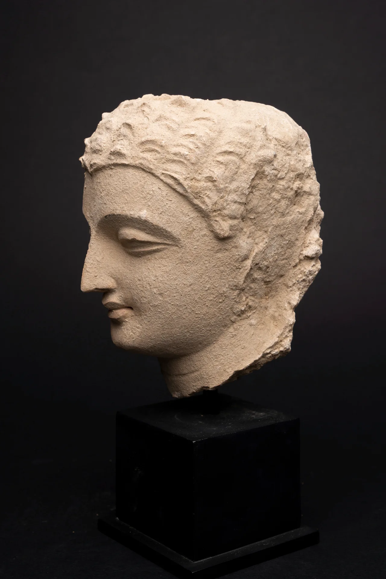Gandhara Stucco Head of the Buddha, view 7