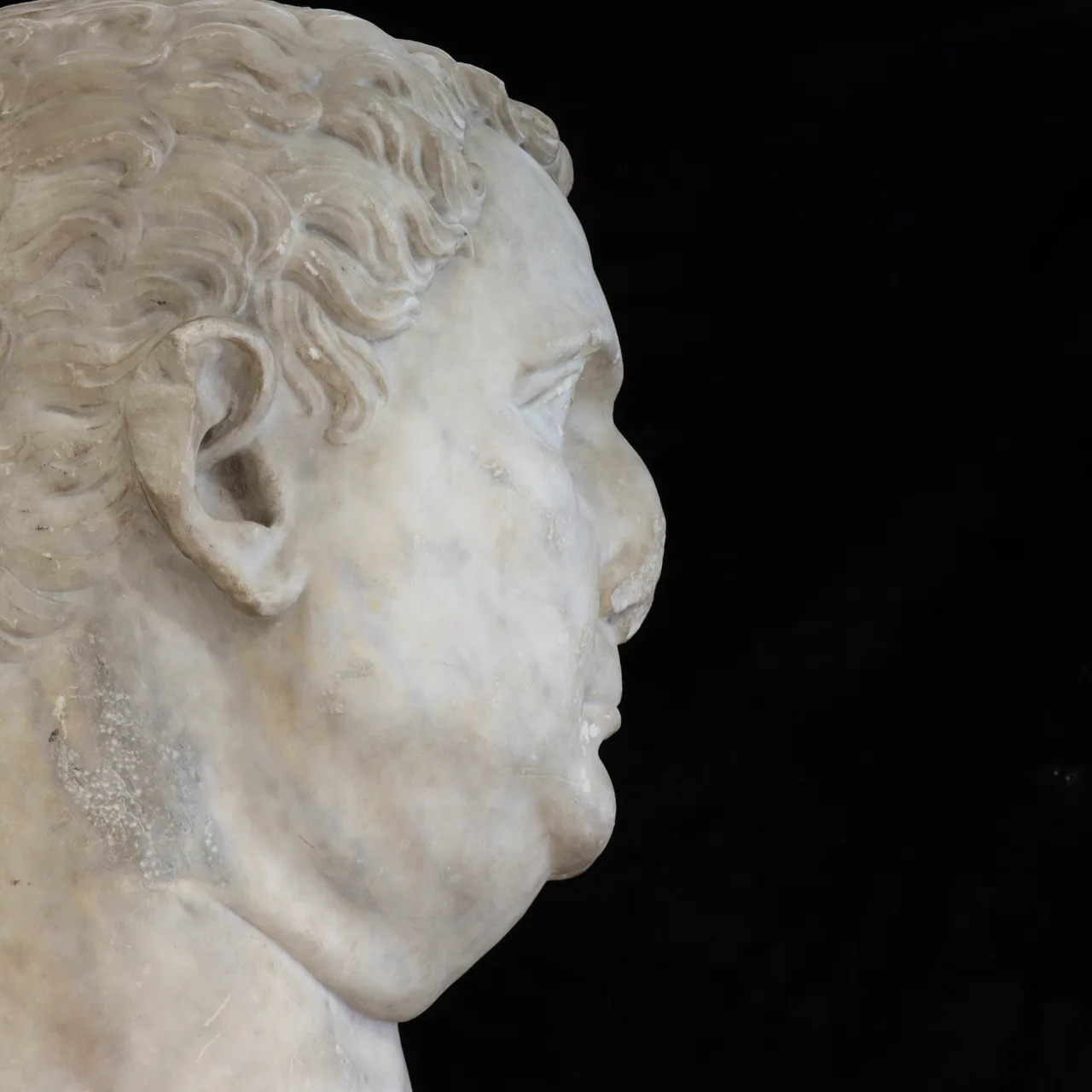 Marble Head of Vitellius, view 9
