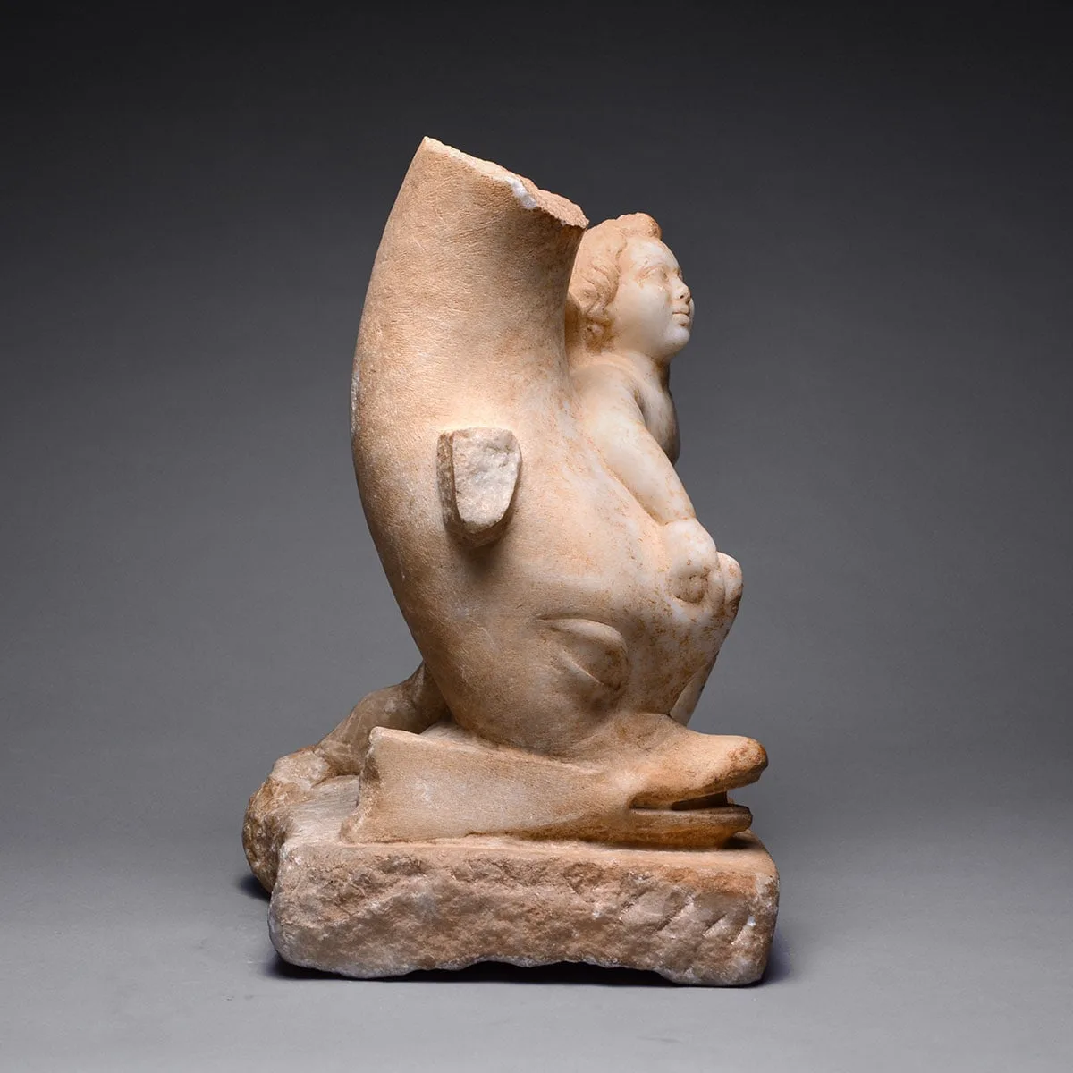 Sculpture of Cupid with a Dolphin, view 5