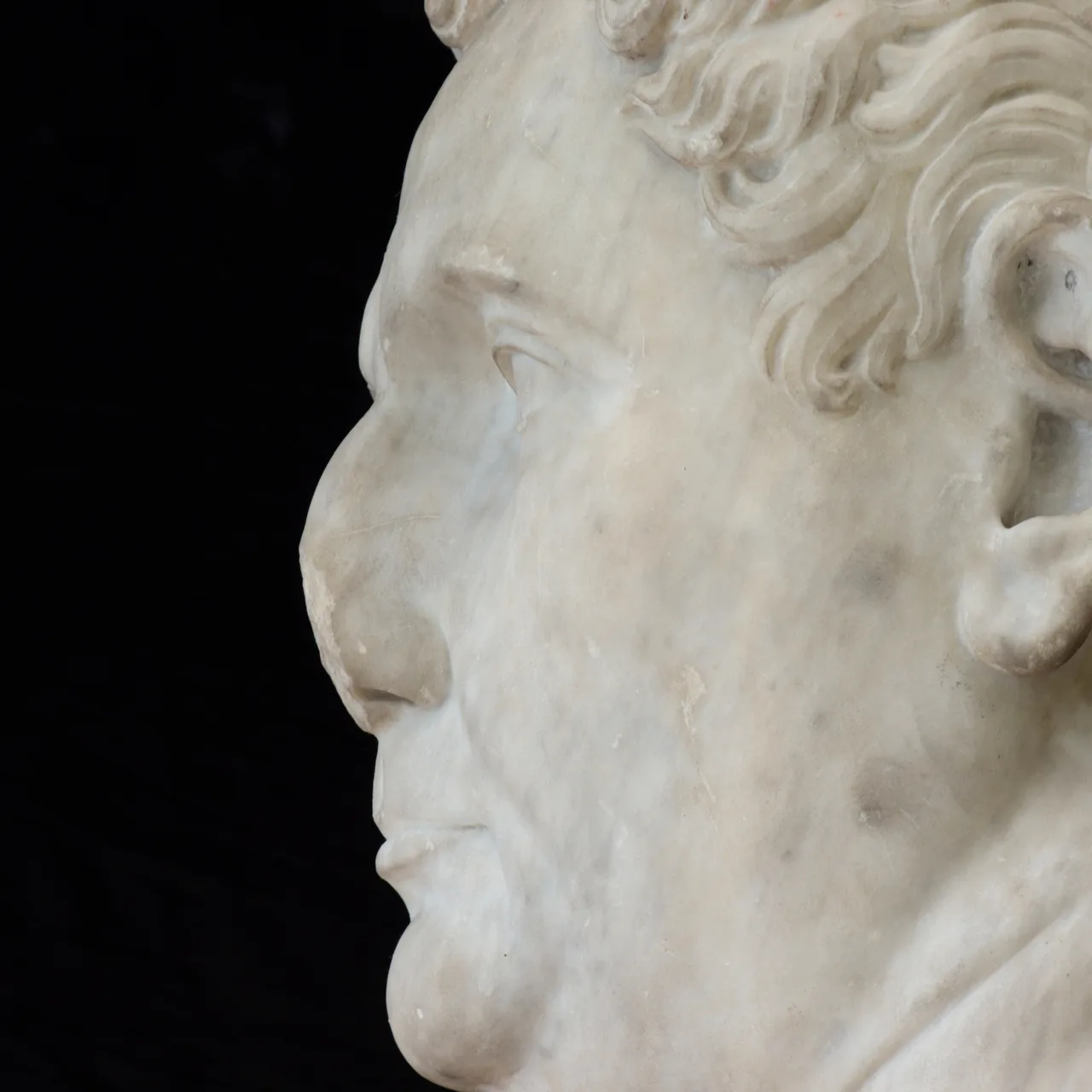 Marble Head of Vitellius, view 8
