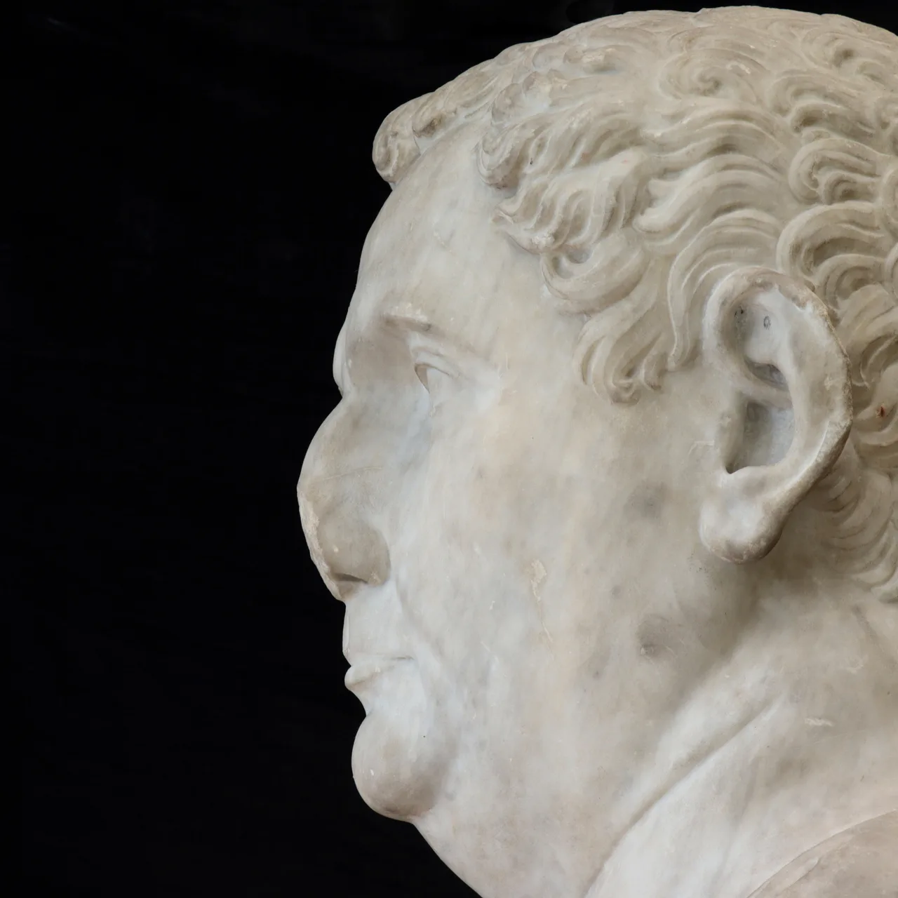 Marble Head of Vitellius, view 7