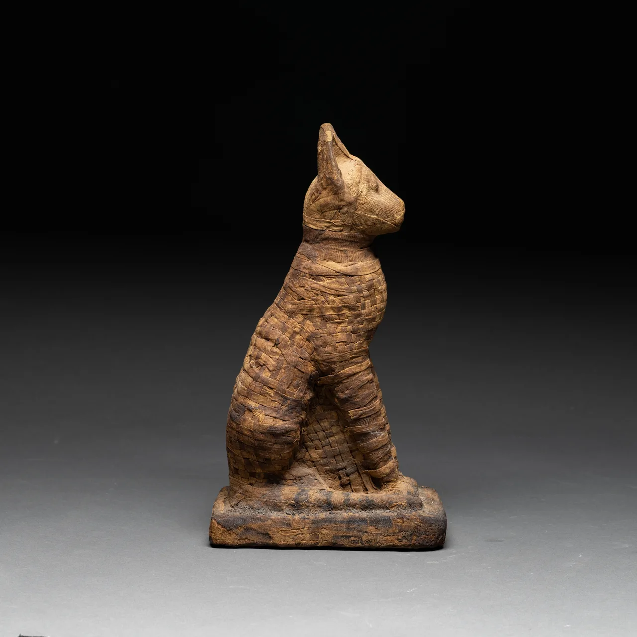 Egyptian Deified Mummy of a Crouching Cat, view 3