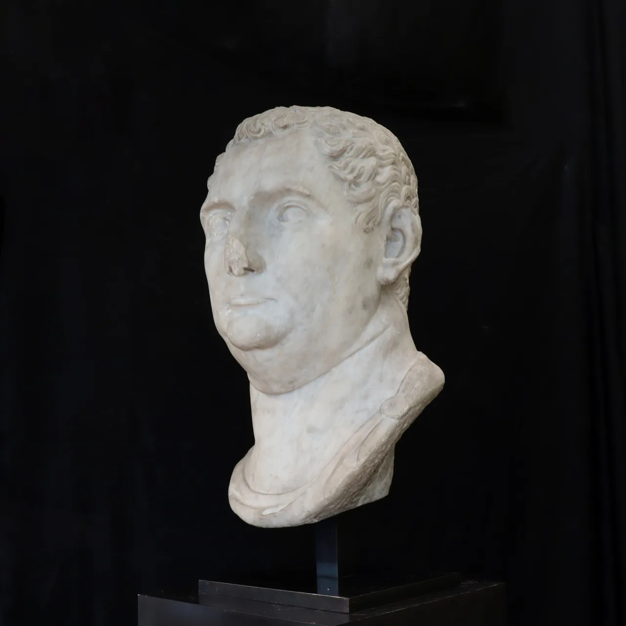 Marble Head of Vitellius, view 6