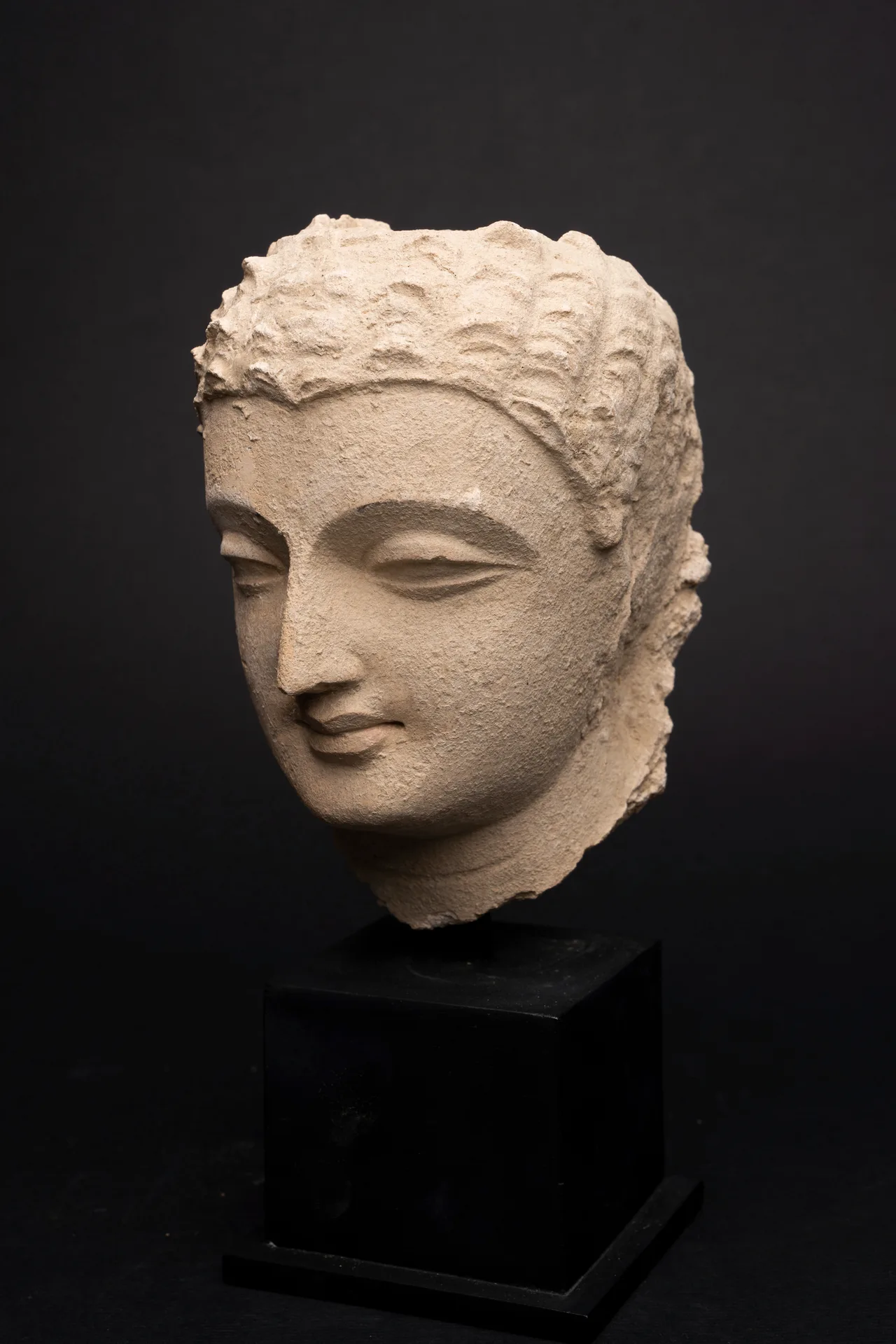 Gandhara Stucco Head of the Buddha, view 5