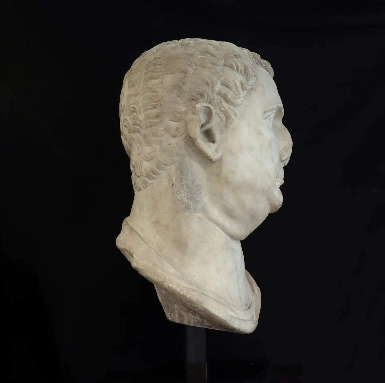 Marble Head of Vitellius, view 10