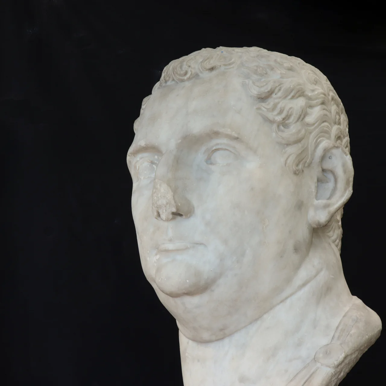 Marble Head of Vitellius, view 4