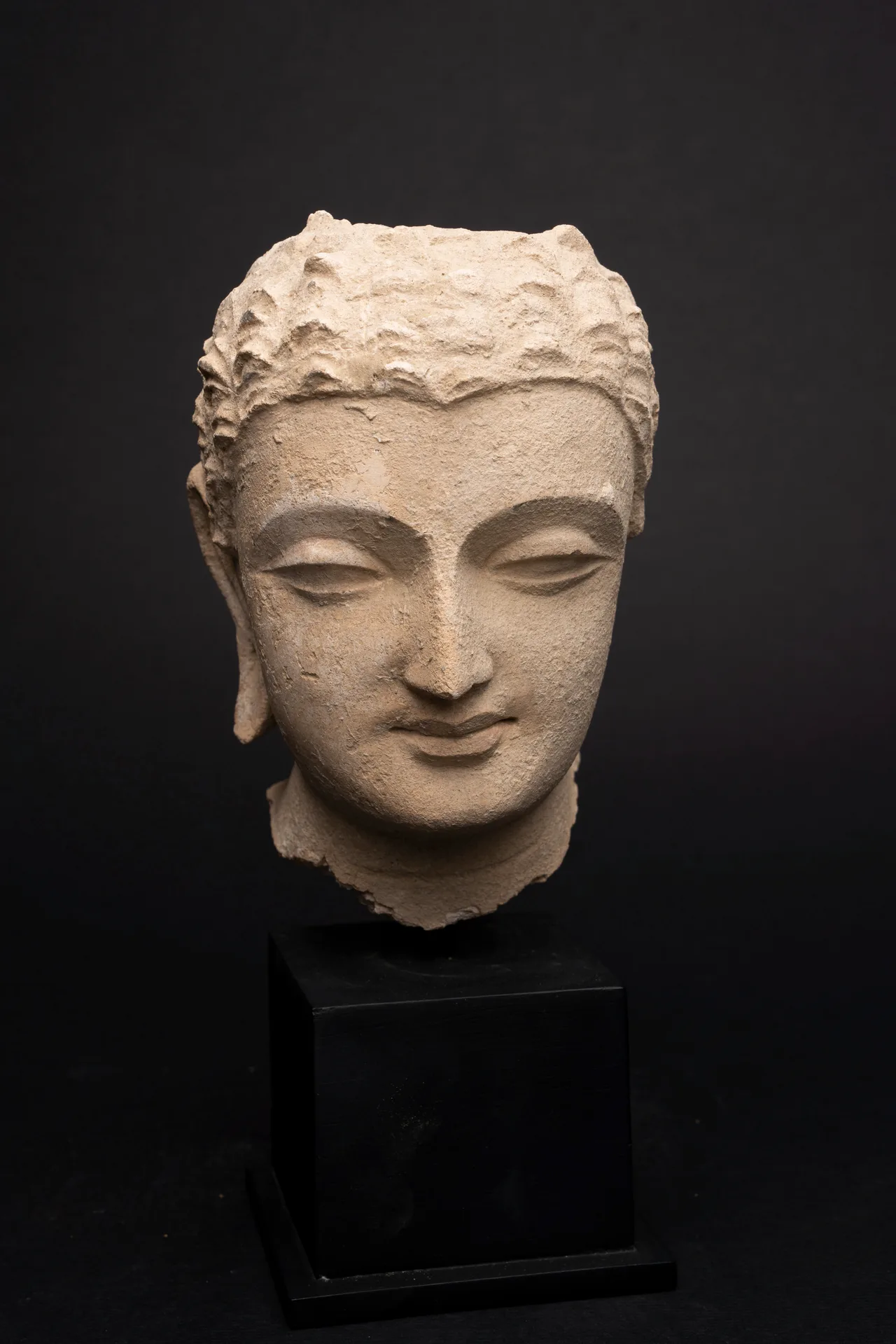 Gandhara Stucco Head of the Buddha, view 3