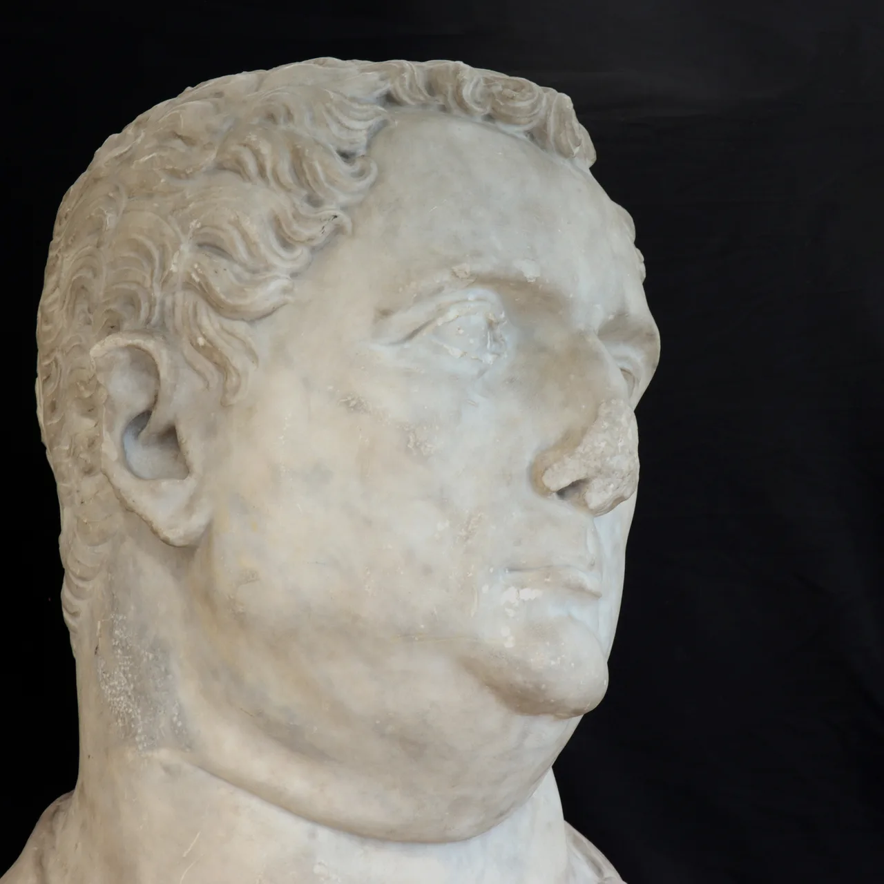 Marble Head of Vitellius, view 11