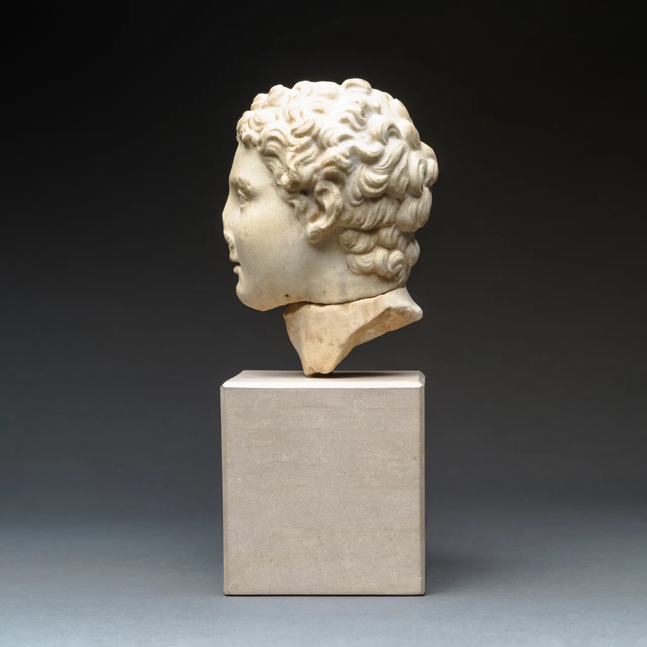 Hellenistic Marble Head of Alexander the Great, view 4