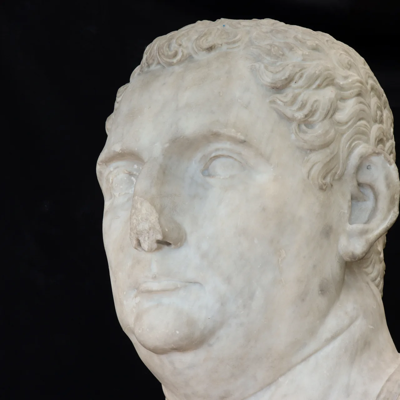 Marble Head of Vitellius, view 5
