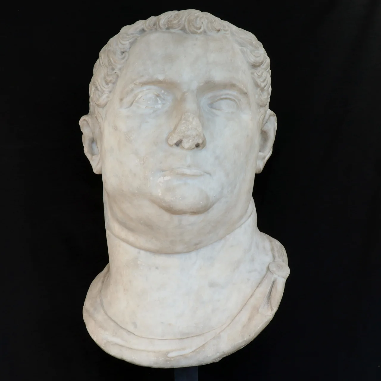 Marble Head of Vitellius, view 2