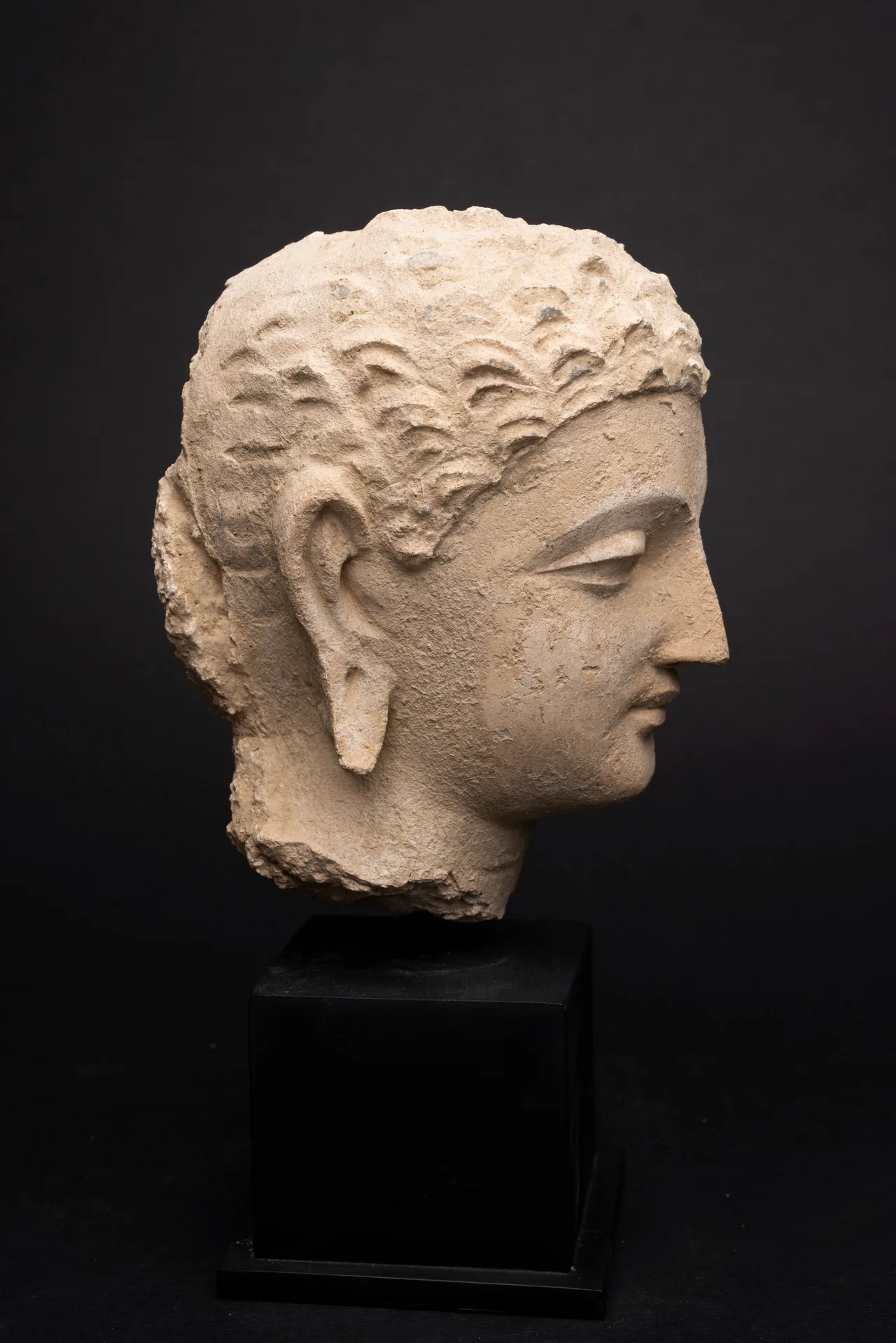 Gandhara Stucco Head of the Buddha, view 8