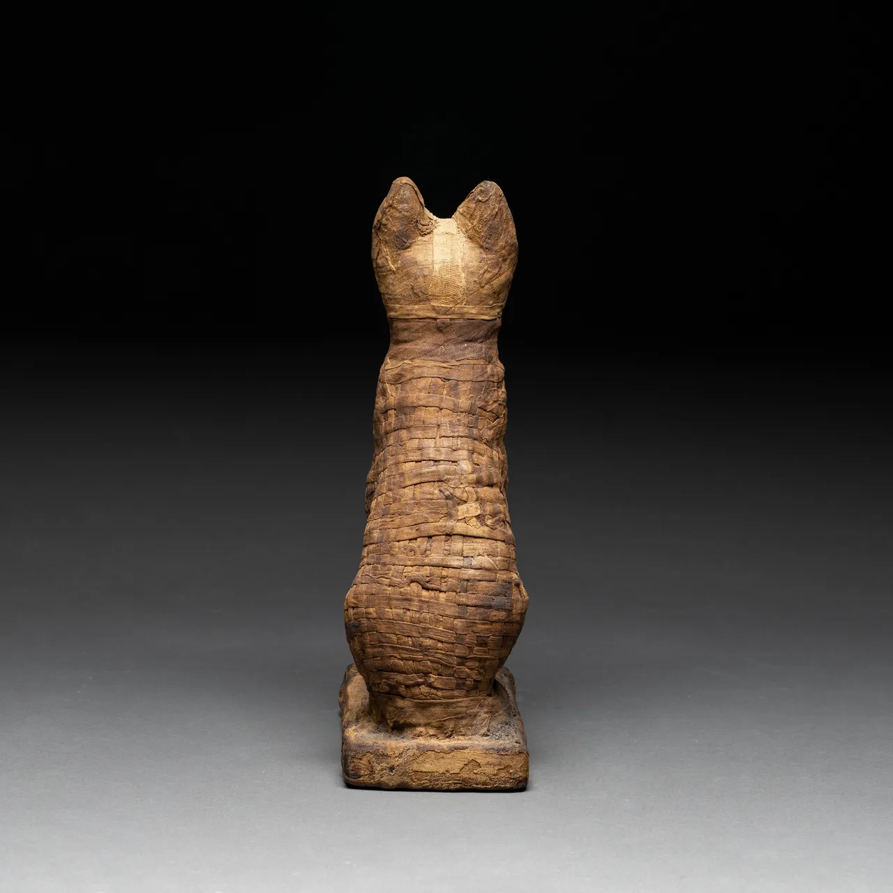 Egyptian Deified Mummy of a Crouching Cat, view 4