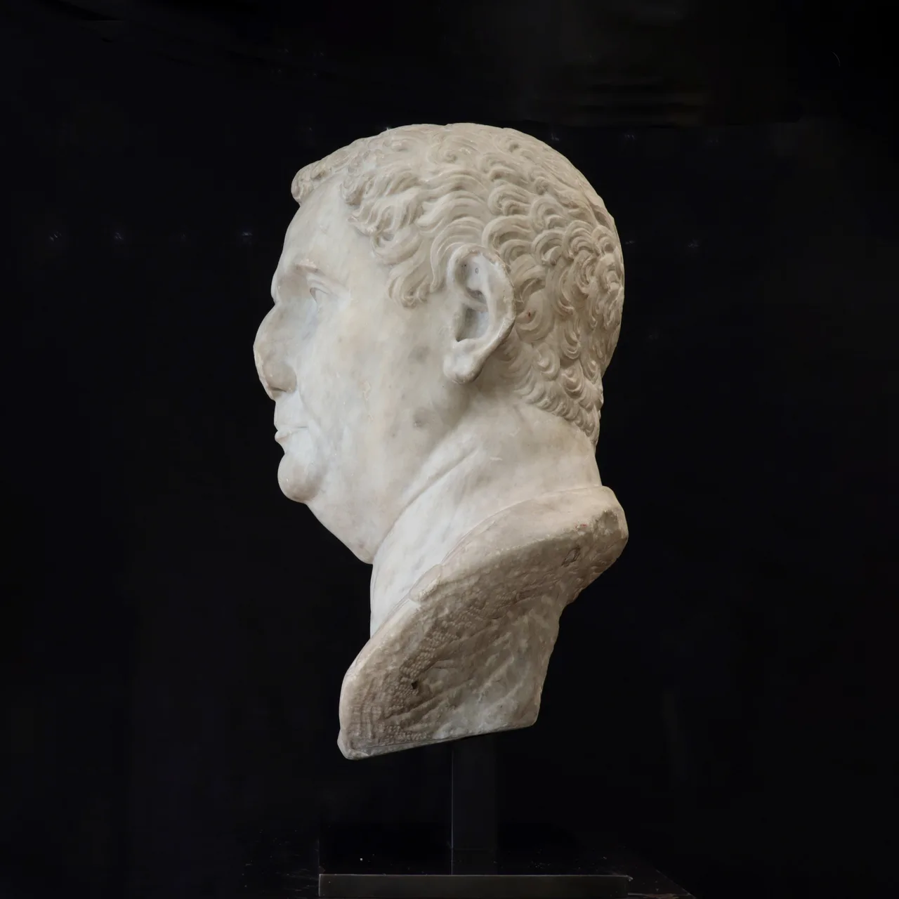 Marble Head of Vitellius, view 14