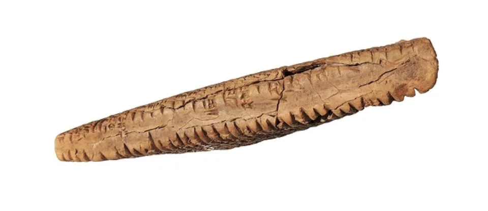 Old Babylonian Terracotta Cuneiform Tablet — view 3
