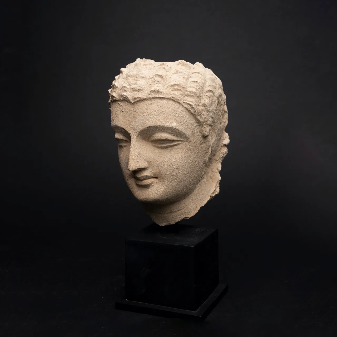 Gandhara Stucco Head of the Buddha, view 1