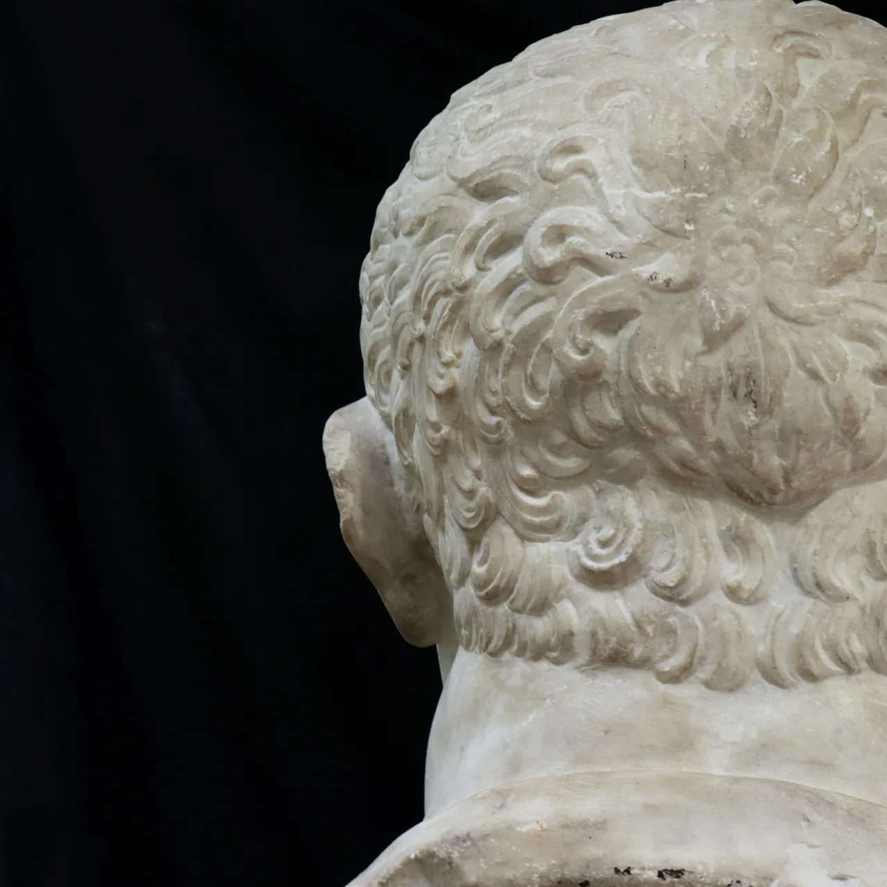 Marble Head of Vitellius, view 13