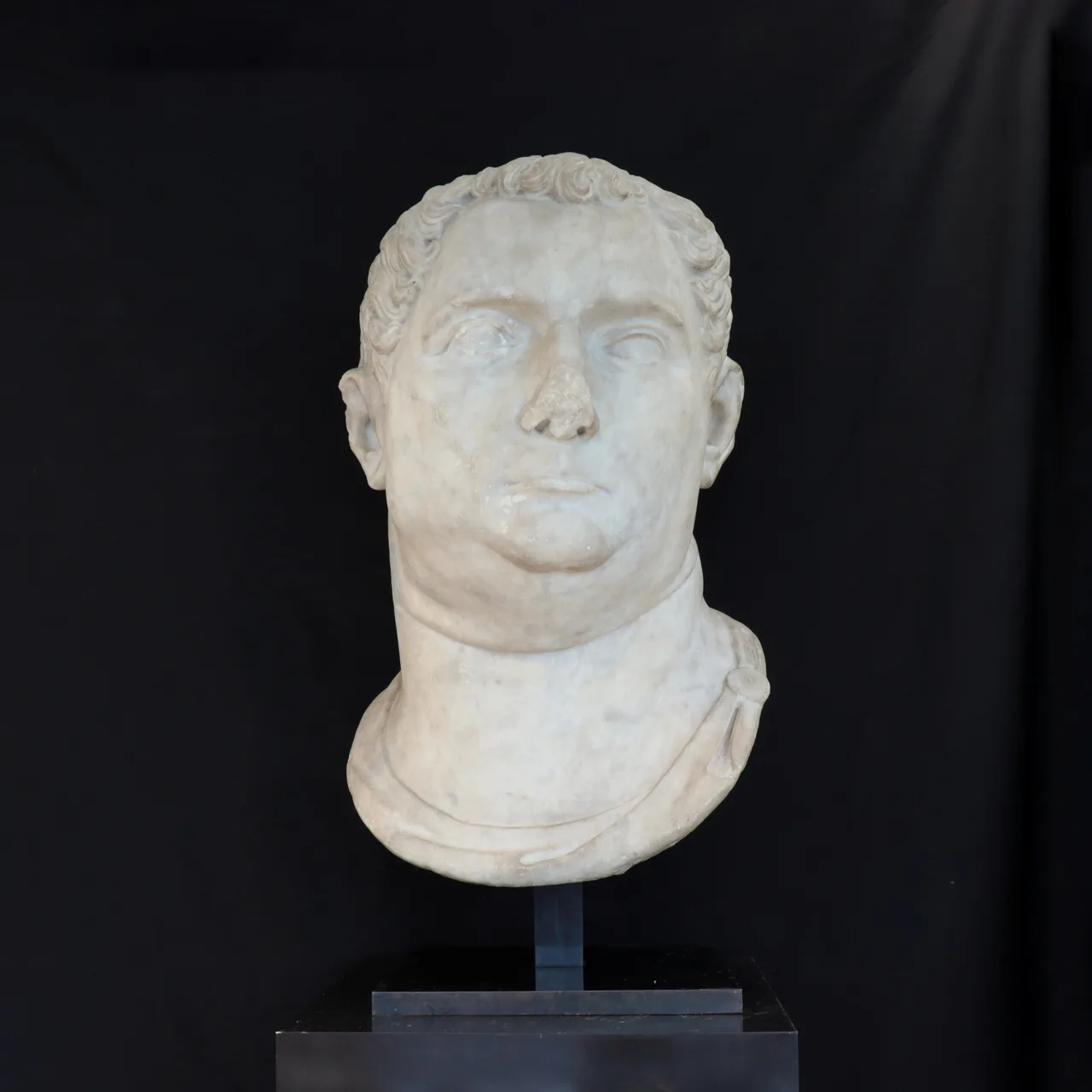 Marble Head of Vitellius, view 1