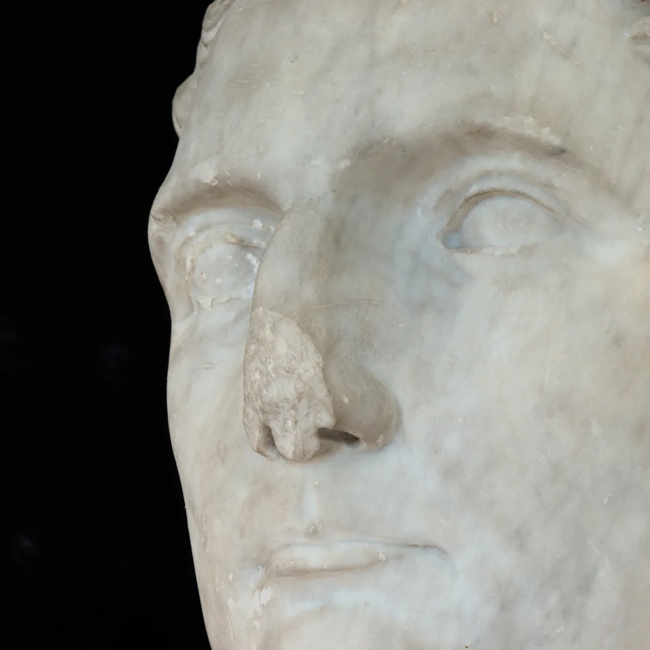 Marble Head of Vitellius, view 3