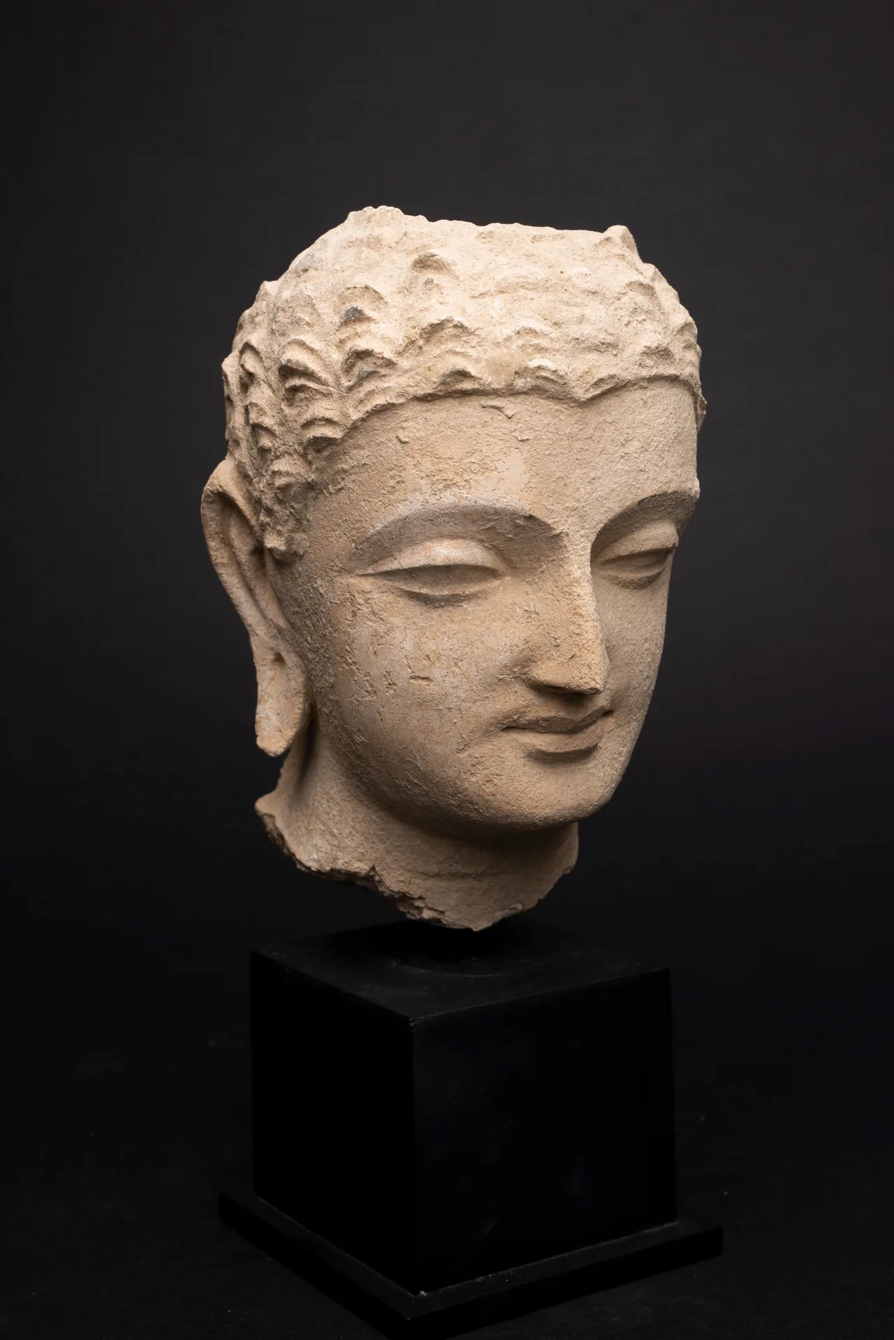 Gandhara Stucco Head of the Buddha, view 4